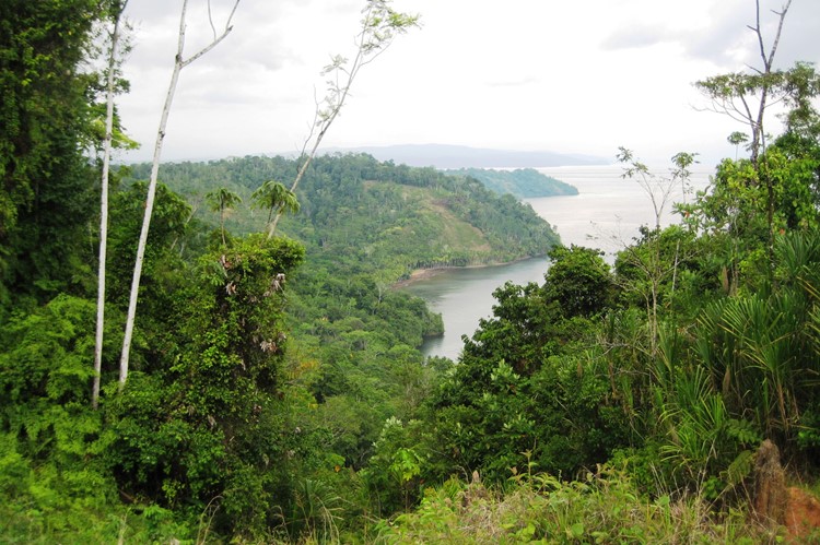 Corcovado Nationaal Park, Costa Rica